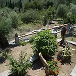 Corfu Paradise *